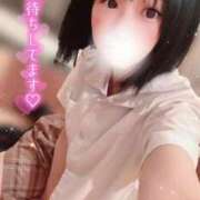 ヒメ日記 2025/02/26 07:18 投稿 てんか お姉京都