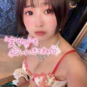 ヒメ日記 2025/03/01 20:02 投稿 てんか お姉京都