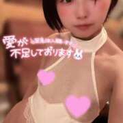 ヒメ日記 2025/03/10 13:52 投稿 てんか お姉京都