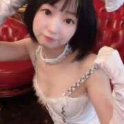 ヒメ日記 2025/03/19 18:22 投稿 てんか お姉京都