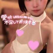 ヒメ日記 2025/04/02 17:02 投稿 てんか お姉京都