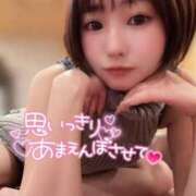 ヒメ日記 2025/04/03 17:02 投稿 てんか お姉京都