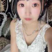 ヒメ日記 2025/04/07 14:02 投稿 てんか お姉京都