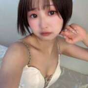 ヒメ日記 2025/04/11 12:19 投稿 てんか お姉京都