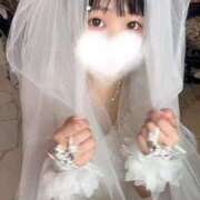 ヒメ日記 2025/04/13 20:15 投稿 てんか お姉京都