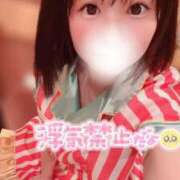 ヒメ日記 2025/04/14 05:42 投稿 てんか お姉京都