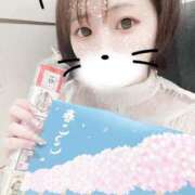 ヒメ日記 2025/04/14 09:07 投稿 てんか お姉京都