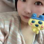 ヒメ日記 2025/04/15 14:05 投稿 てんか お姉京都