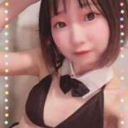 ヒメ日記 2025/04/17 05:52 投稿 てんか お姉京都