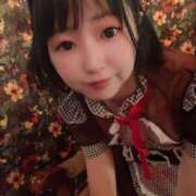 ヒメ日記 2025/04/17 09:03 投稿 てんか お姉京都