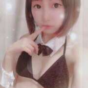 ヒメ日記 2025/04/24 05:52 投稿 てんか お姉京都