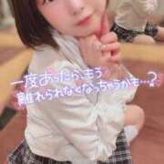 ヒメ日記 2025/04/27 11:11 投稿 てんか お姉京都