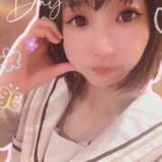 ヒメ日記 2025/04/30 05:42 投稿 てんか お姉京都