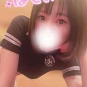 ヒメ日記 2025/05/01 06:02 投稿 てんか お姉京都