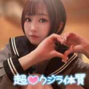 ヒメ日記 2025/05/06 17:02 投稿 てんか お姉京都