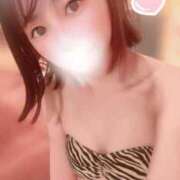 ヒメ日記 2025/05/08 07:18 投稿 てんか お姉京都