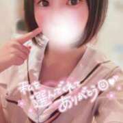 ヒメ日記 2025/05/12 05:42 投稿 てんか お姉京都