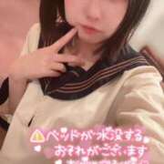 ヒメ日記 2025/05/16 07:12 投稿 てんか お姉京都