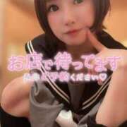 ヒメ日記 2025/05/19 10:52 投稿 てんか お姉京都