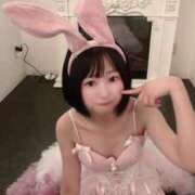 ヒメ日記 2025/05/23 17:22 投稿 てんか お姉京都