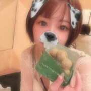 ヒメ日記 2025/05/30 15:04 投稿 てんか お姉京都