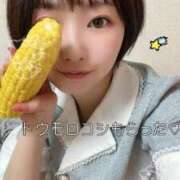 ヒメ日記 2025/07/15 15:05 投稿 てんか お姉京都