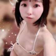 ヒメ日記 2025/07/24 07:12 投稿 てんか お姉京都