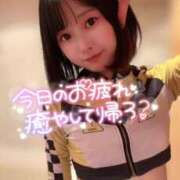 ヒメ日記 2025/08/06 05:56 投稿 てんか お姉京都