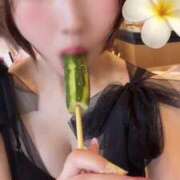 ヒメ日記 2025/08/15 12:20 投稿 てんか お姉京都