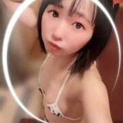 ヒメ日記 2025/08/25 06:11 投稿 てんか お姉京都