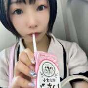 ヒメ日記 2025/08/25 12:04 投稿 てんか お姉京都