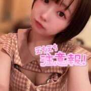 ヒメ日記 2025/09/04 12:18 投稿 てんか お姉京都