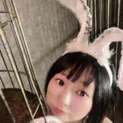 ヒメ日記 2025/09/09 15:03 投稿 てんか お姉京都