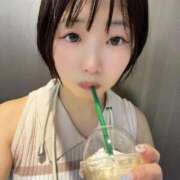 ヒメ日記 2025/09/11 07:59 投稿 てんか お姉京都