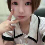 ヒメ日記 2025/09/19 17:02 投稿 てんか お姉京都