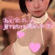 ヒメ日記 2025/11/01 12:22 投稿 てんか お姉京都