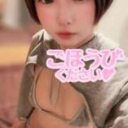 ヒメ日記 2025/11/02 17:02 投稿 てんか お姉京都