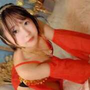 ヒメ日記 2025/11/17 13:22 投稿 てんか お姉京都