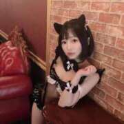 ヒメ日記 2025/11/29 15:09 投稿 てんか お姉京都