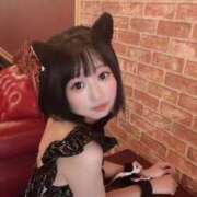 ヒメ日記 2025/11/30 09:12 投稿 てんか お姉京都