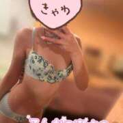 ヒメ日記 2025/12/04 12:18 投稿 てんか お姉京都