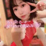 ヒメ日記 2025/12/05 07:12 投稿 てんか お姉京都