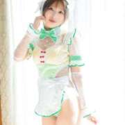 てんか 帰ってきたぞ！ お姉京都