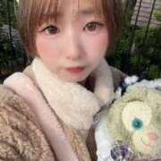 ヒメ日記 2025/12/14 12:20 投稿 てんか お姉京都