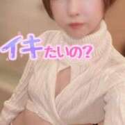 ヒメ日記 2025/12/14 17:12 投稿 てんか お姉京都