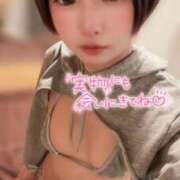 ヒメ日記 2025/12/20 17:02 投稿 てんか お姉京都