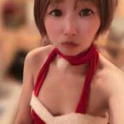 ヒメ日記 2025/12/23 09:02 投稿 てんか お姉京都