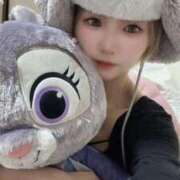 ヒメ日記 2025/12/29 09:02 投稿 てんか お姉京都