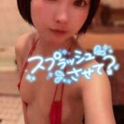 ヒメ日記 2026/01/06 07:02 投稿 てんか お姉京都