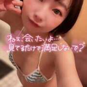 ヒメ日記 2026/01/26 09:12 投稿 てんか お姉京都